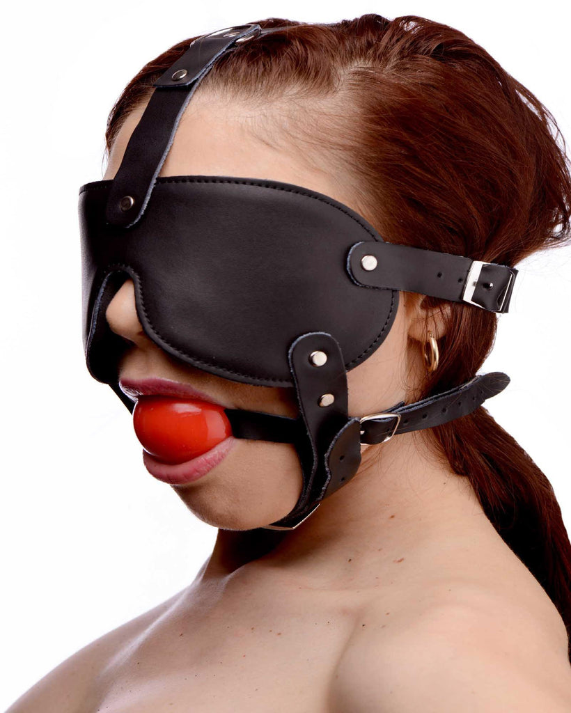 Gag and Blindfold Head Harness- Red